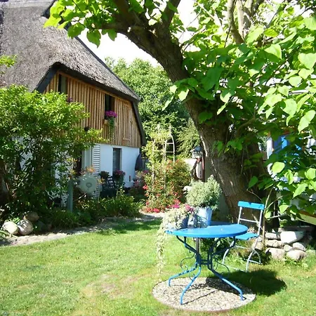 Tiny House Ostsee # Naturwerk Pruchten Exterior foto