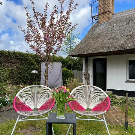 Tiny House Ostsee # Naturwerk Pruchten Exterior foto