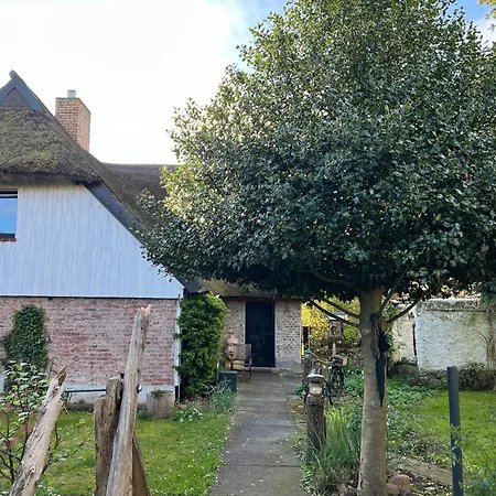 Tiny House Ostsee # Naturwerk Pruchten Exterior foto