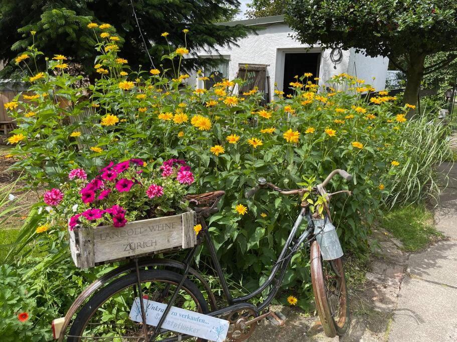 Apartment Tiny House Ostsee # Naturwerk Pruchten