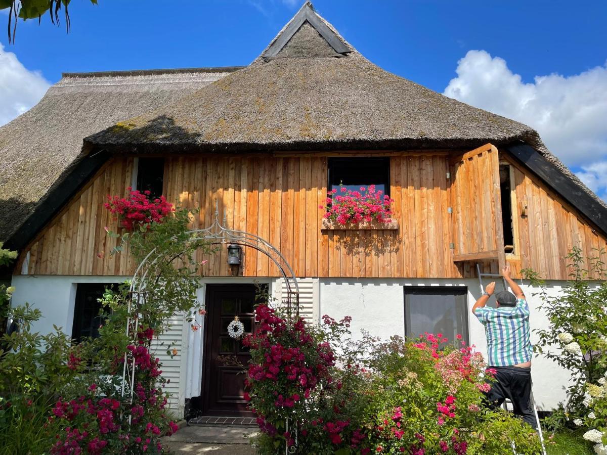 Apartment Tiny House Ostsee # Naturwerk Pruchten