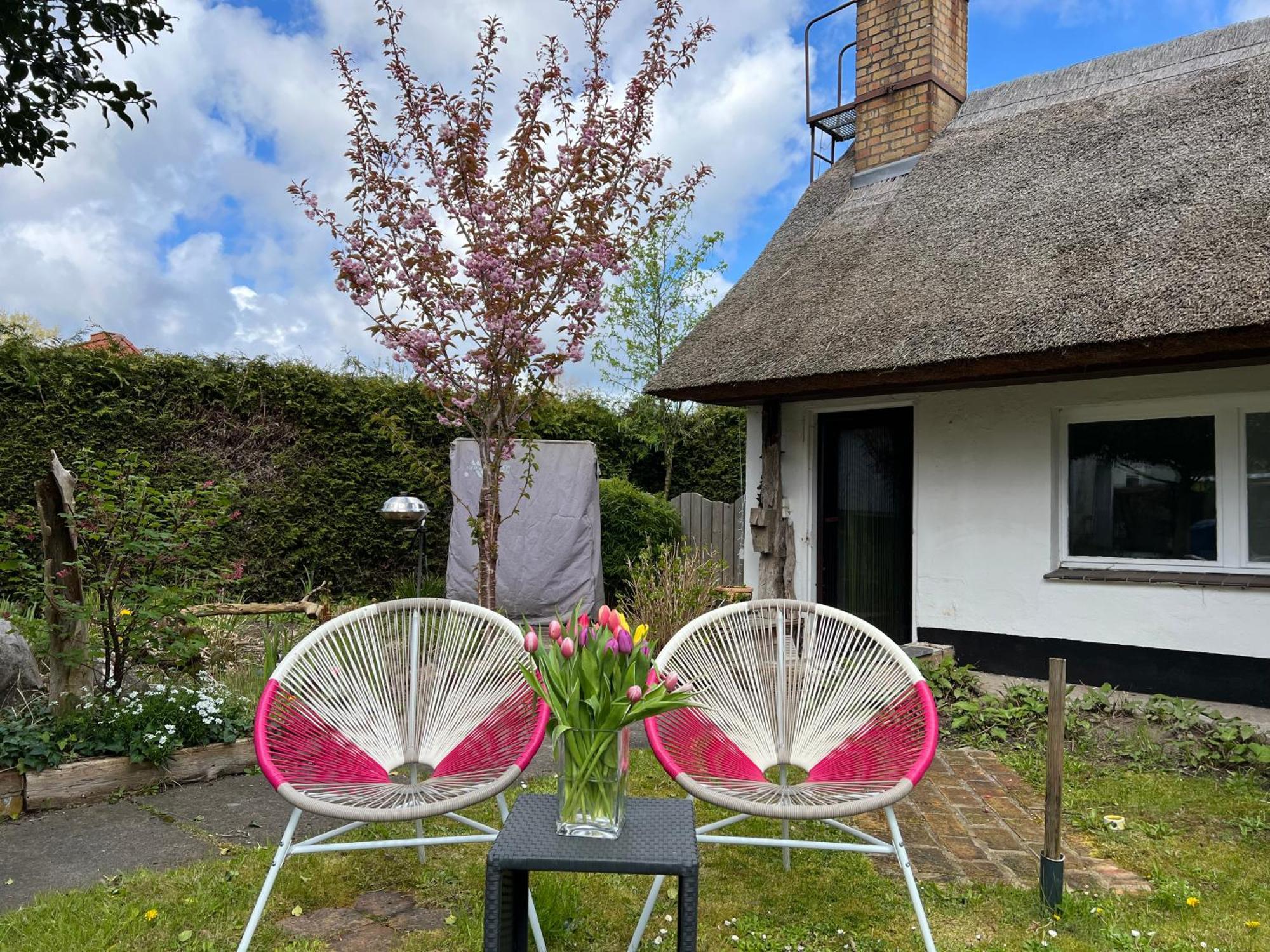 Tiny House Ostsee # Naturwerk Apartment